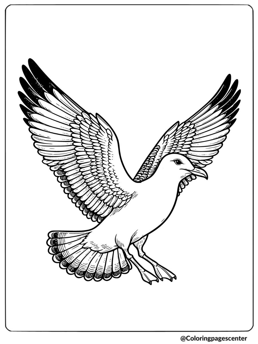 Seagull with spread wings in flight coloring page