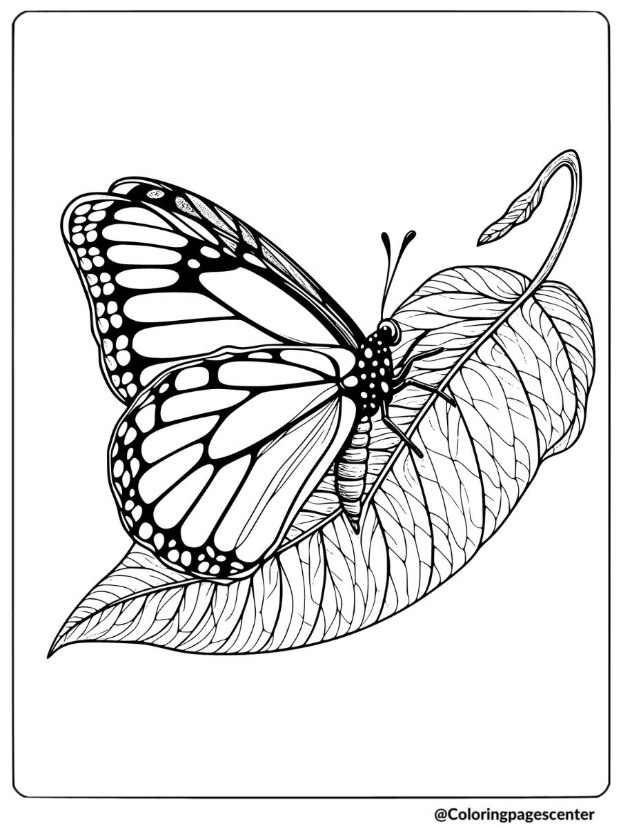 Simple butterfly resting on a leaf coloring page