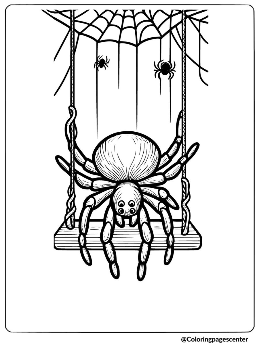 A spider on a swing made from web coloring page