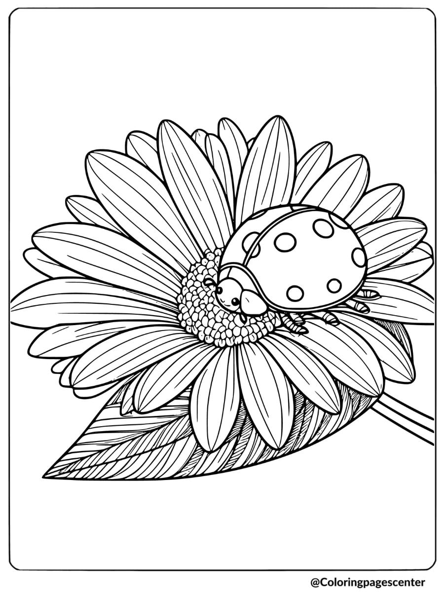 Coloring page of a ladybug insect sitting on a large flower