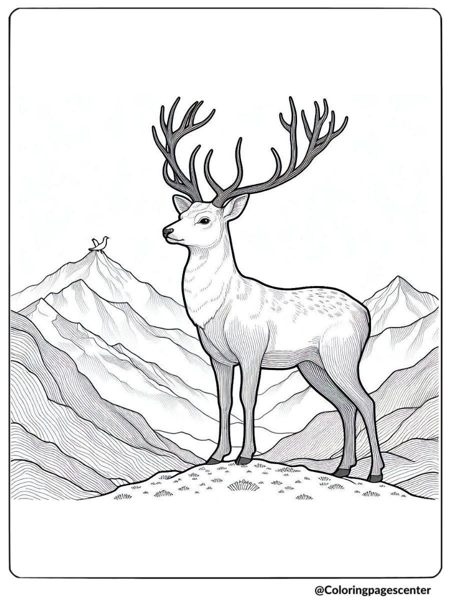 Deer standing on a mountain realistic coloring page