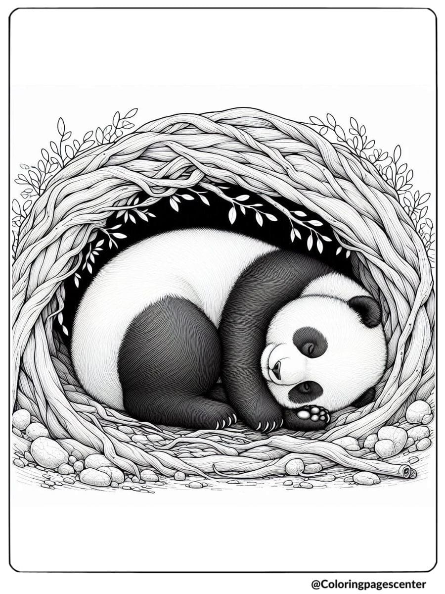 Coloring page of a panda curled up in nest