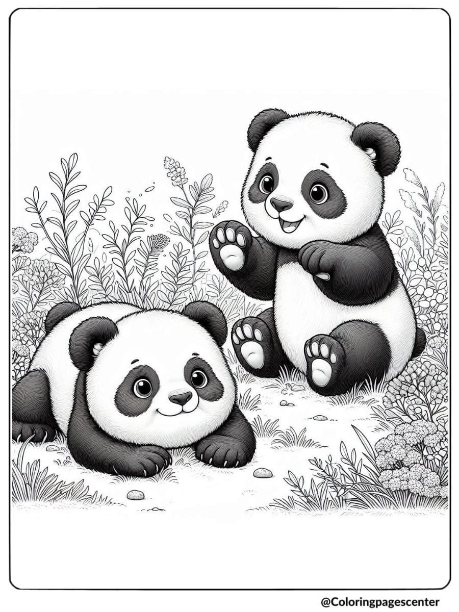 Coloring page of two pandas playing in grass