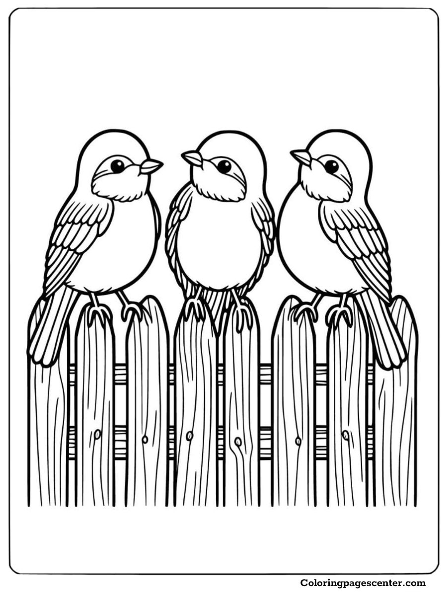 Birds sitting on a wooden fence coloring page