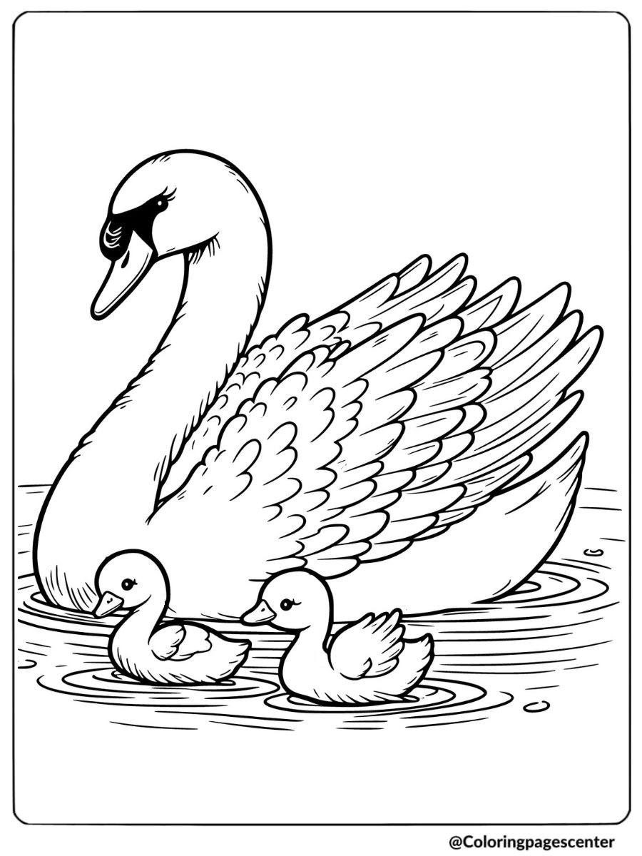 Coloring page of a swan and its cygnets swimming peacefully