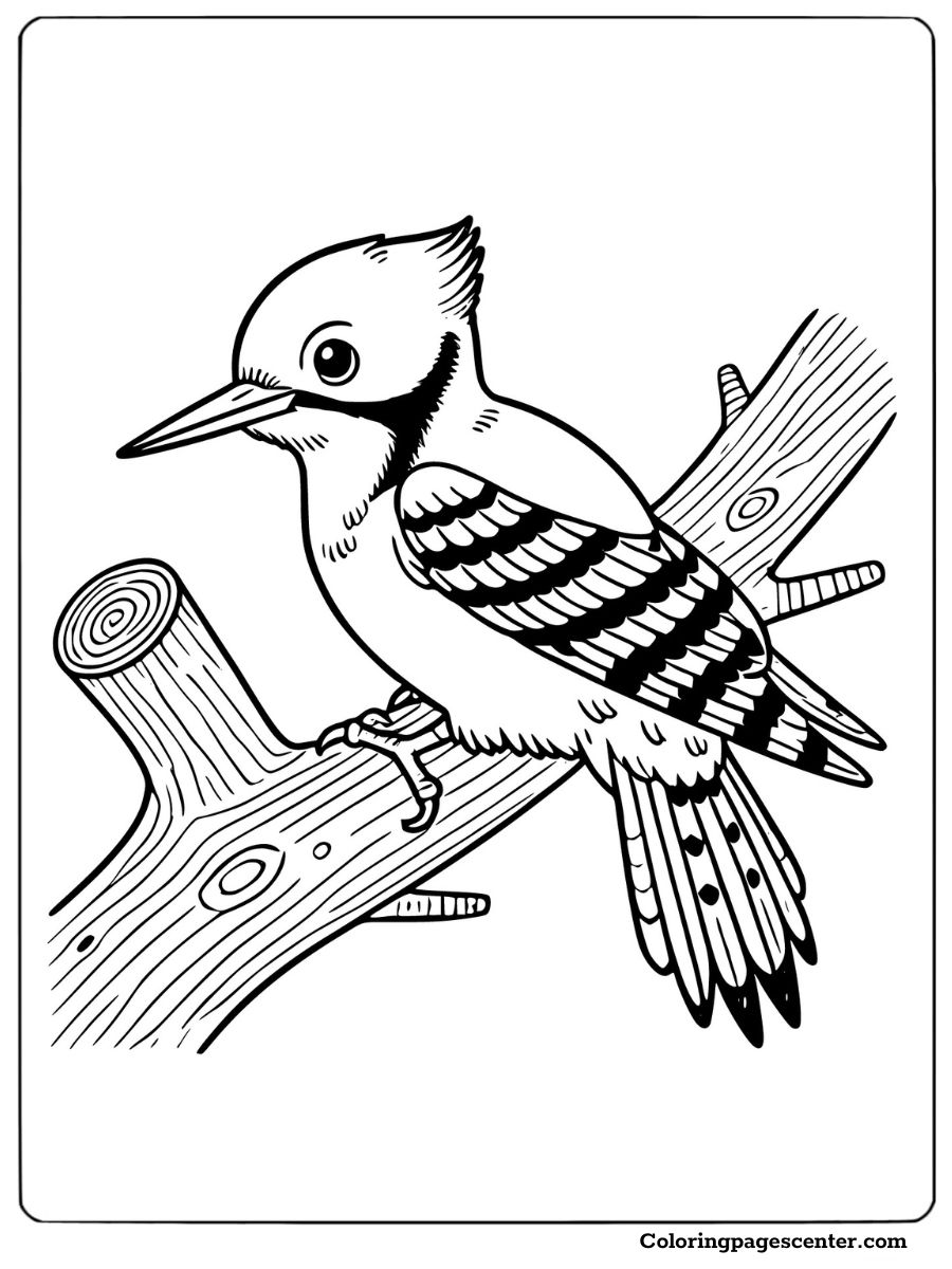 Woodpecker perched on a tree branch in a natural pose coloring page