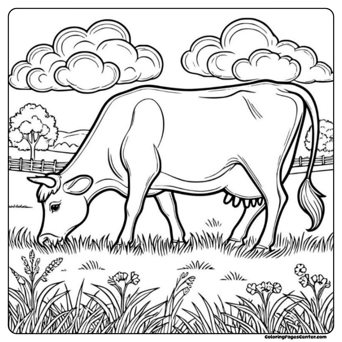 Jersey cow coloring page featuring a calm cow in wide, green pastures