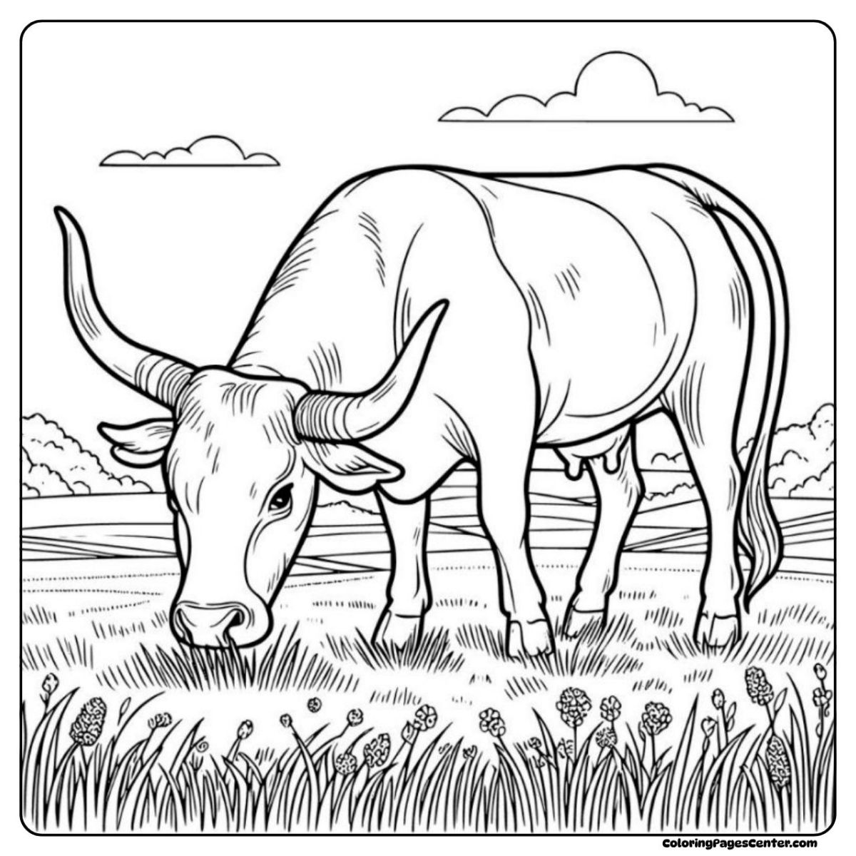Longhorn cow coloring image – peaceful moment as a cow enjoys tall grass and open fields