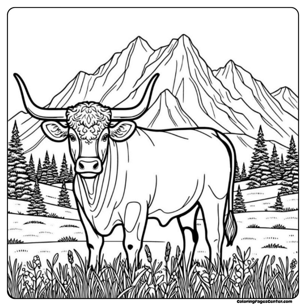 Longhorn cow coloring page in a field, with snowy mountains in the background