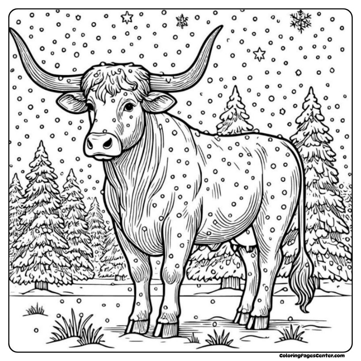 Longhorn cow coloring drawing surrounded by falling snow and pine trees