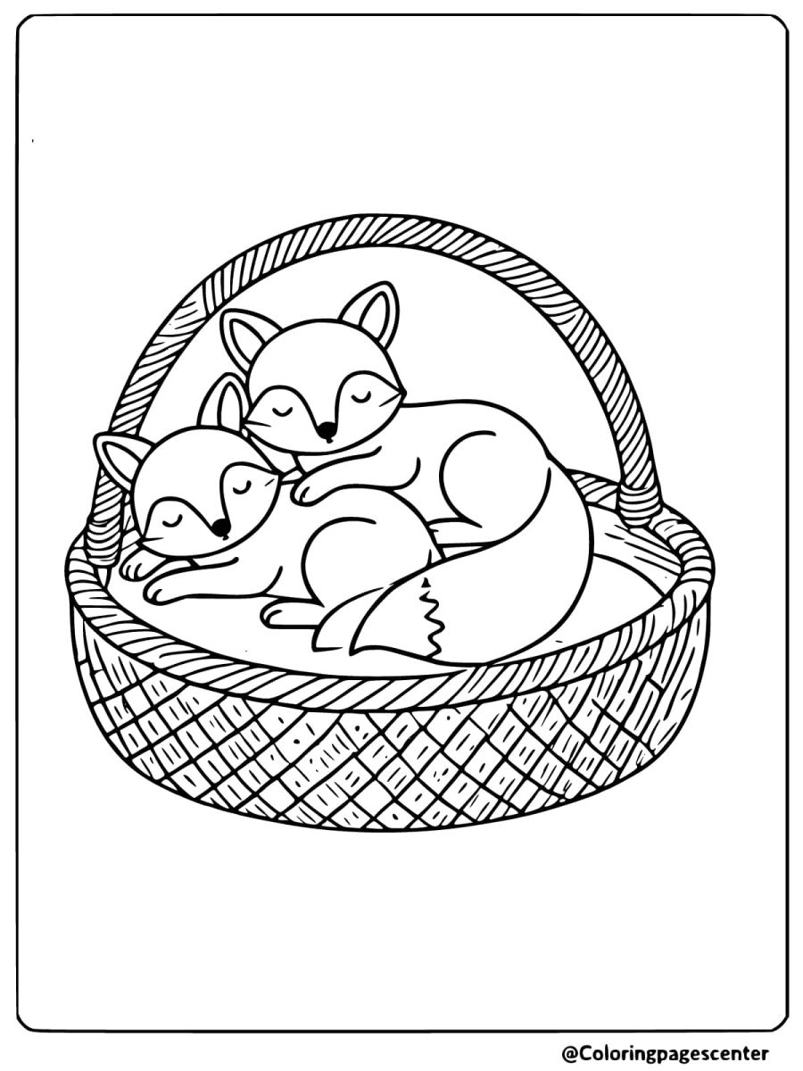 Foxes sleeping in a basket, cozy foxes coloring page