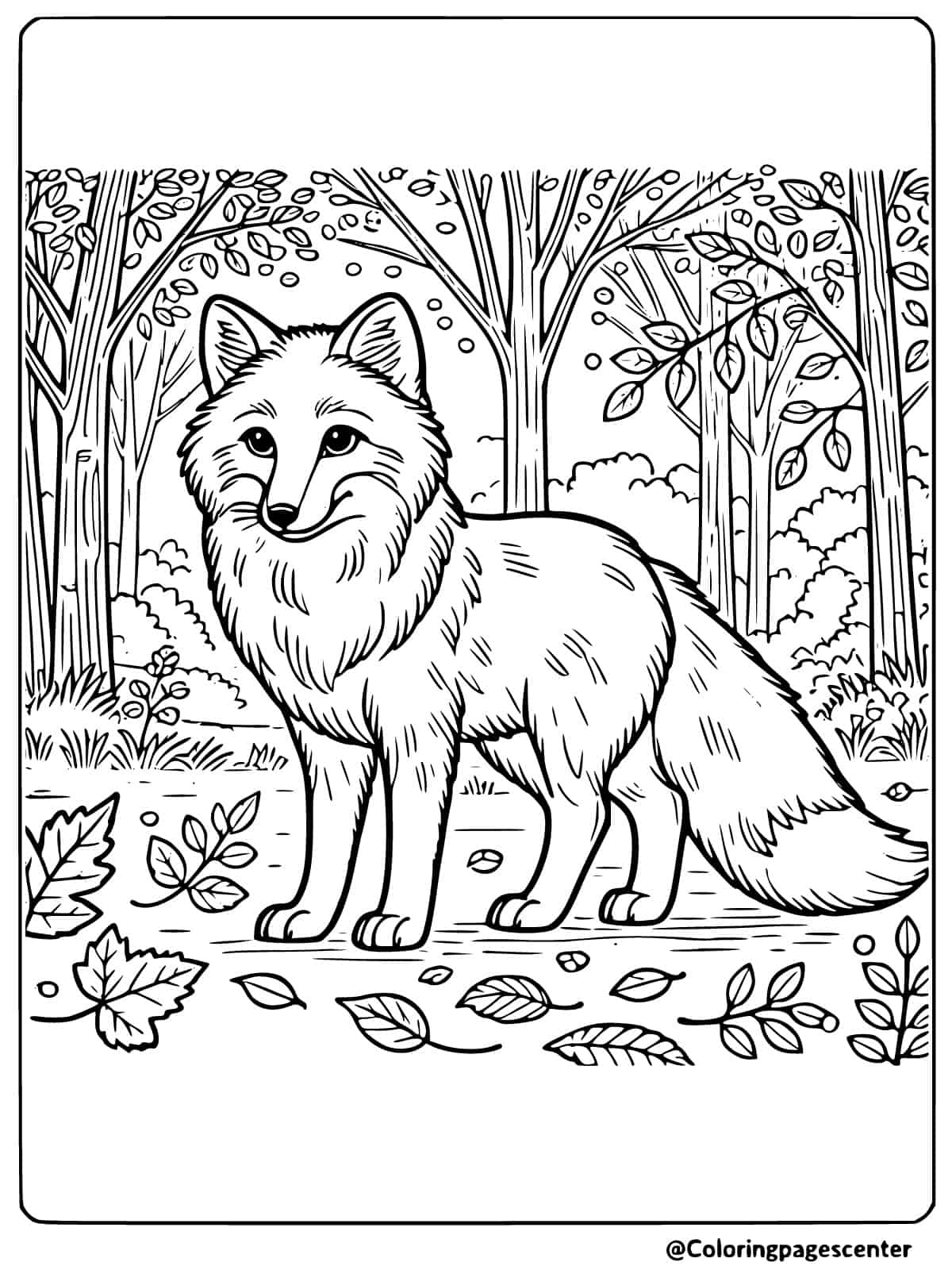 Red fox coloring page