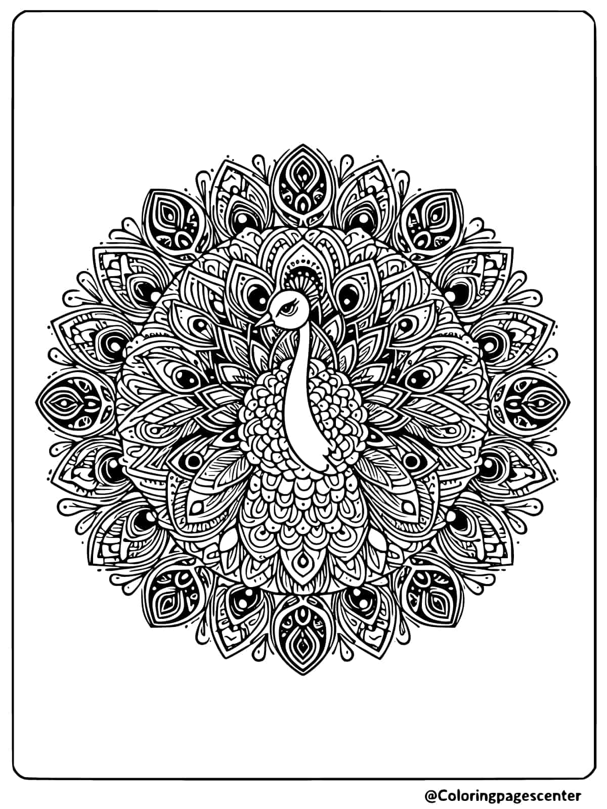 Peacock Mandala Coloring Page