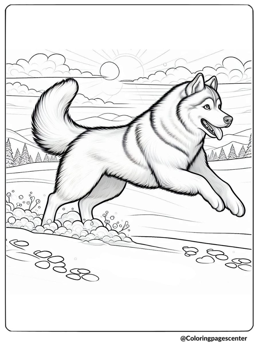 Realistic Husky Coloring Page